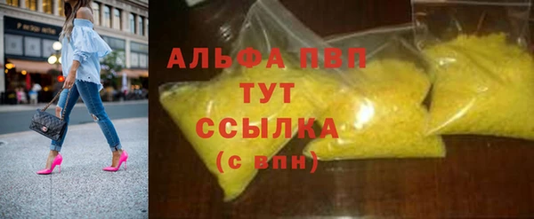 PSILOCYBIN Баксан