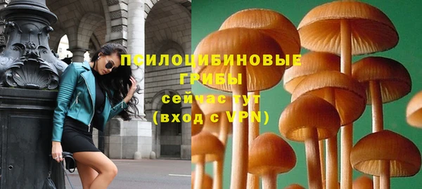 гашик Нязепетровск