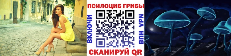 где купить   Горно-Алтайск  Галлюциногенные грибы Psilocybe 